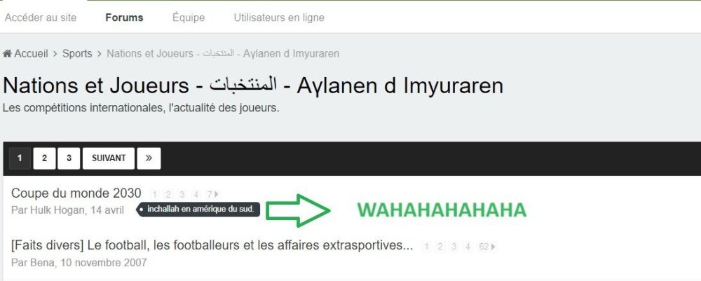 Sans titre.jpg