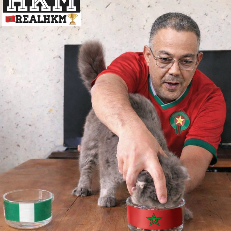 Un homme et un chat devant deux bols.png