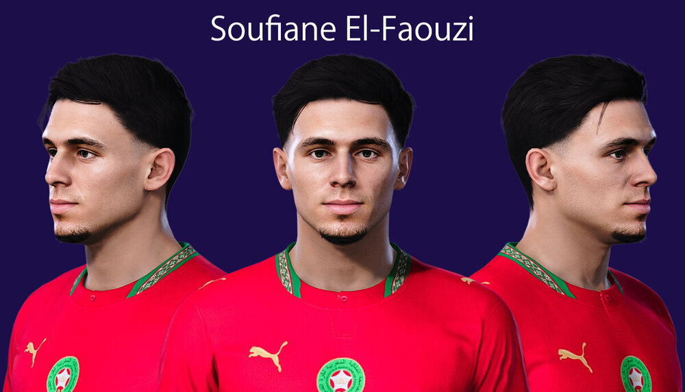 Soufiane El-Faouzi.jpg