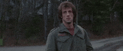 100 (2).gif