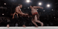 100 (4).gif